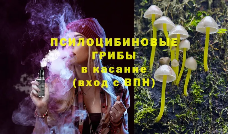 Псилоцибиновые грибы MAGIC MUSHROOMS  Кизилюрт 